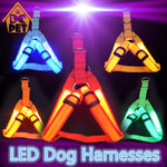Nylon Pet Safety LED Harness