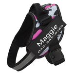 Personalized No-Pull Harness