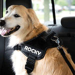 Adjustable Dog Safety Seat Belt