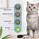 Catnip Wall Ball Toys for Cats