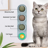 Catnip Wall Ball Toys for Cats