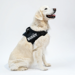 Custom Anti-Choke Dog Harness