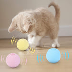 Interactive Ball Catnip Cat Training Toy