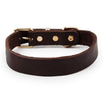Top Grade Leather Dog Collar Pet Leads Alloy Buckle