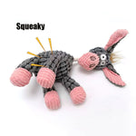 Fun Pet Squeaky  Chew Toy