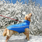 Waterproof Dog Clothes for Large Dogs