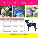 Reflective Safety Pet Dog Harness and Leash Set for Small Medium Dogs Cat Harnesses Vest Puppy Chest Strap Pug Chihuahua Bulldog