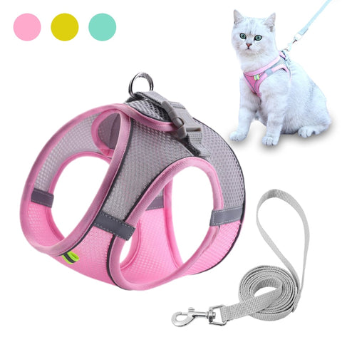 Escape Proof Small Pet Harness Leash Set