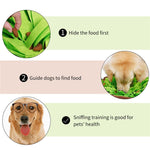 Dog Training Mat