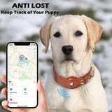 Leather Anti-Lost Dog Collar