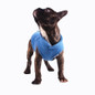 2020 7 Colors Dog Fleece Sweaters Vest Harness Jacket Puppy Outfits Puffer Coat Autumn Fall Warm Soft Winter Clothes Small Dogs