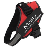 Personalized No-Pull Harness