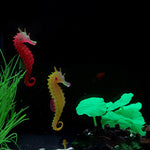 Silicone  Luminous Fish Tank Aquarium  Sea Horse Decoration
