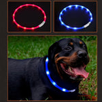 Luminous Pet Collar