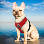 Breathable Nylon Cat Harness Reflective Dog Pet Harness for Small Medium Dogs Pet Puppy Harnesses for  Chihuahua Yorkshire