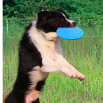 Soft Non-Slip Dog Flying Disc