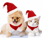 cat christmas hat with muffler, pet dog santa hat and scarf christmas costume for puppy kitten cats and dogs