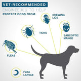 Pro Guard Flea and Tick Pet Collar
