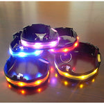 Dog Collar LED Lights Adjustable / Retractable Textile Plastic Blue Pink Rainbow