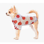 Small Pet Raincoat / Sun-proof Clothing