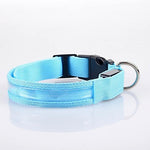 Cat Pets Dog Collar Dog Training Collars LED Lights Electric Glow Solid Colored Nylon Blue Pink Rainbow