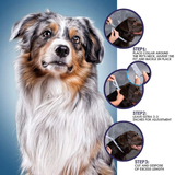 Petmate Anti Flea Collar - Small to Medium Dog