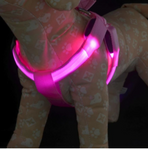 Dog Light Up Harness LED Lights Adjustable / Retractable Solid Colored Nylon