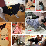 Graphic Text Pet Sweatshirts