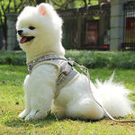 Dogs Harness Leash Hands Free Leash Adjustable / Retractable