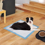 Training Pad