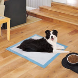 Training Pad
