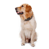 Dog Collar Portable Solid Colored PU Leather Black Brown White