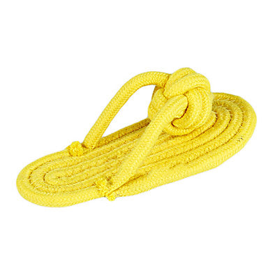 Slipper Shaped Toy For Pet Dogs(Assorted Colour)