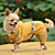 Dog Rain Coat Raincoat Dog Clothes Yellow Green Red Costume.