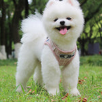 Dogs Harness Leash Hands Free Leash Adjustable / Retractable