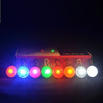 Cat Dog Tag LED Lights Batteries Included Solid Colored Plastic Transparent White Orange