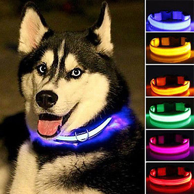 Cat Pets Dog Collar Dog Training Collars LED Lights Electric Glow Solid Colored Nylon Blue Pink Rainbow