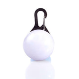 Cat Dog Tag LED Lights Batteries Included Solid Colored Plastic Transparent White Orange