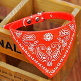 Dog Collar Collar Bandana Adjustable / Retractable Bandanas PU Leather Red Blue Pink
