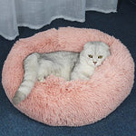 Dogs Cats Mattress Pad Bed Bed Blankets Mats & Pads Fabric Plush Soft Durable Solid Colored Camel Wine White