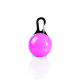 Cat Dog Tag LED Lights Batteries Included Solid Colored Plastic Transparent White Orange