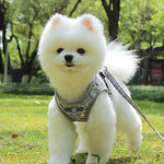 Dogs Harness Leash Hands Free Leash Adjustable / Retractable
