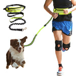 Pet dog stretch belt running traction rope set free dog rope traction rope collar pet accessories puppy dog leash traction belt