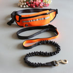 Pet dog stretch belt running traction rope set free dog rope traction rope collar pet accessories puppy dog leash traction belt