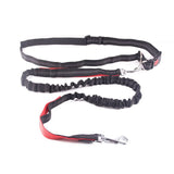 Pet dog stretch belt running traction rope set free dog rope traction rope collar pet accessories puppy dog leash traction belt