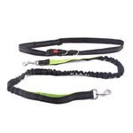 Pet dog stretch belt running traction rope set free dog rope traction rope collar pet accessories puppy dog leash traction belt