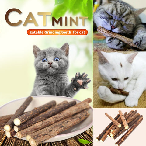 5PCS Natural Matatabi Pet Cat Snack Cat Chew Stick Treat Toy Catnip Molar Food Mint Snacks Sticks Pet Supplies D40