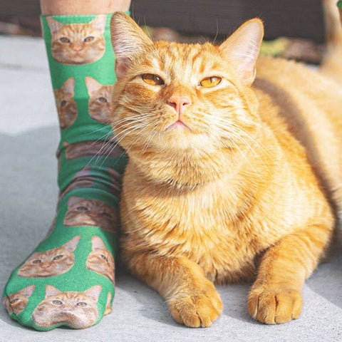 3D Printed Custom Cat Face Socks Personalized Cat Socks Custom Cat Birthday Gifts Cat Lover Socks Christmas Gift Women Men Sock