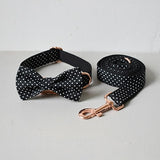 personalized nylon walking lead engrave name phone ID bow dog collar leash for small big dogs training dog labrador pet straps