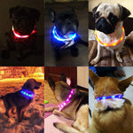 USB Rechargeable Flashing Night Dog Collars Luminous Pet Collar LED Light USB Dog Collar Glowing Teddy Flash Collar Pet kkk
